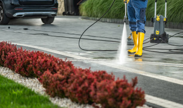 Best Patio and Deck Pressure Washing  in Somonauk, IL